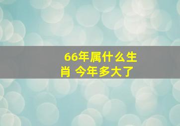 66年属什么生肖 今年多大了